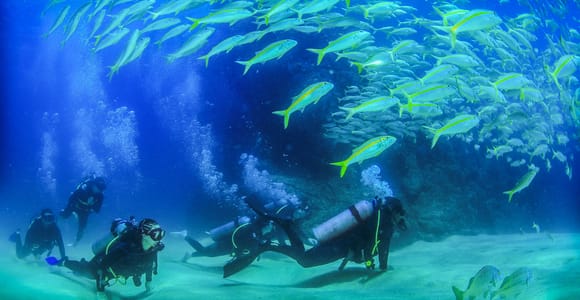 Los Cabos: 3-Hour Introductory Scuba Diving Adventure