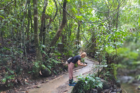 辛哈拉加雨林之旅