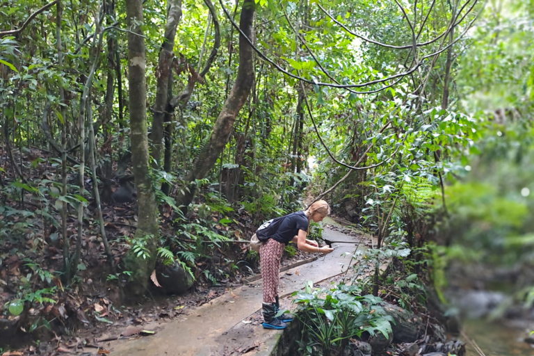 辛哈拉加雨林之旅