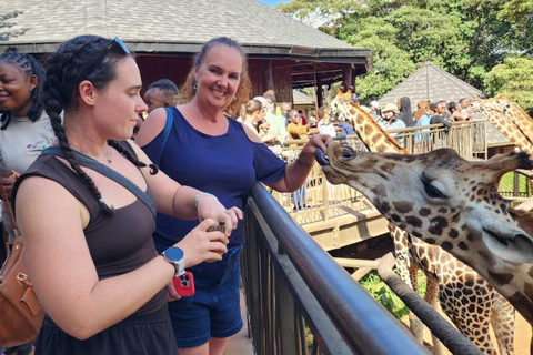 Nairobi National Museum, Snake Park & Giraffe Centre Tour