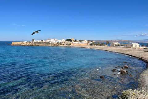 From Alicante: Tabarca Island, Santa Pola & Surprise Stop