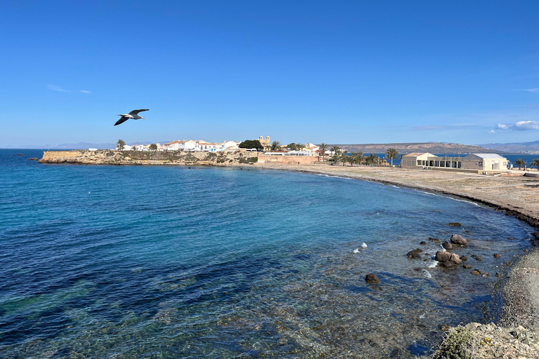 From Alicante: Tabarca Island, Santa Pola & Surprise Stop