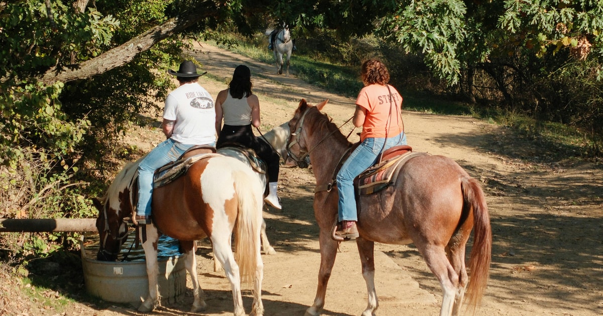 Okavango Horseback Ride + Meals and Beverages | GetYourGuide