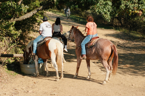 Okavango Horseback Ride + Meals and Beverages