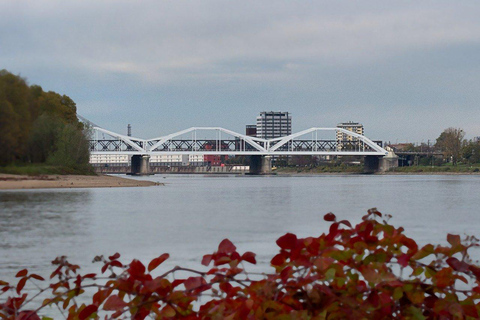 Ludwigshafen am Rhein : visite guidée privée à pied