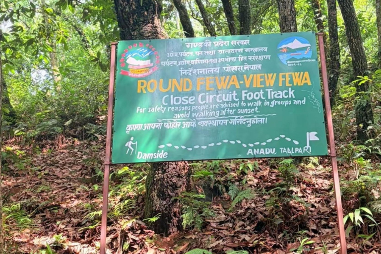Pokhara: World Peace Pagoda & Pumdikot Day Hike with Guide
