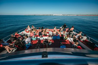Algarve 3-uur grotten en Coastline Boat Trip - Housity