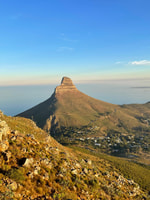 Sonnenuntergang oder Sonnenaufgang Wanderung am Löwenkopf, Kapstadt - Housity