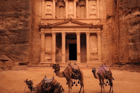 Passeio de um dia inteiro de Amã a Petra com passeio a cavalo no deserto