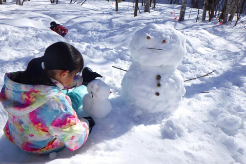 Sapporo: Lake Shikotsu Ice Festival, Snow Fun & Buddha Tour Shared Tour, Meet at Sapporo Station