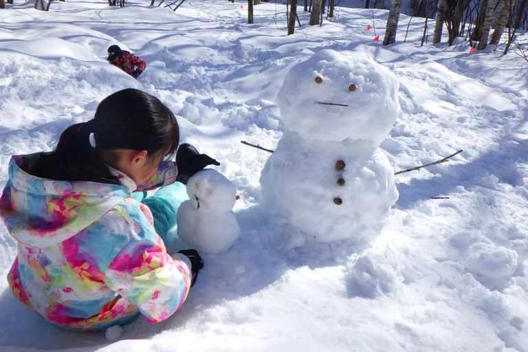 Sapporo: Lake Shikotsu Ice Festival, Snow Fun & Buddha Tour Shared Tour, Meet at Sapporo Station