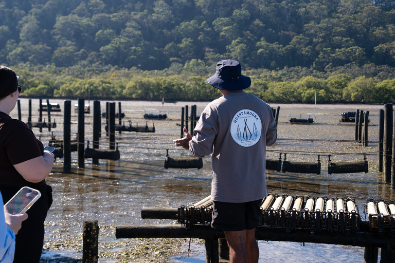 Stradbroke Island: First Nations Oyster Farm Tour & Tasting