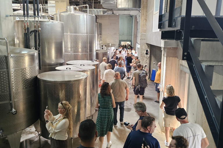 From Bucharest: Dealu Mare Winery Tour & Wine Tasting