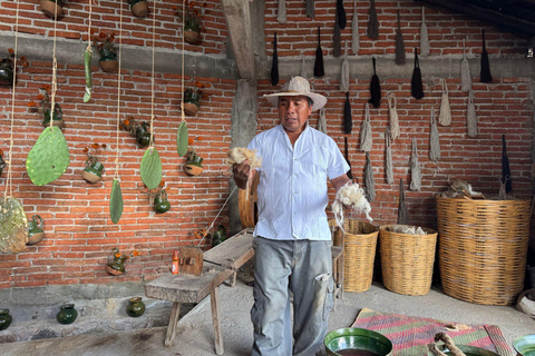 Cuisine ancestrale, art textile à Teotitlán et Tule Tree