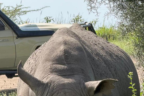 Nairobi: National Park Half-Day Safari with Hotel Pick-Up