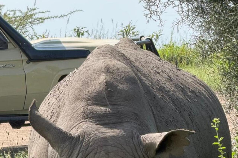 Nairobi: National Park Half-Day Safari with Hotel Pick-Up