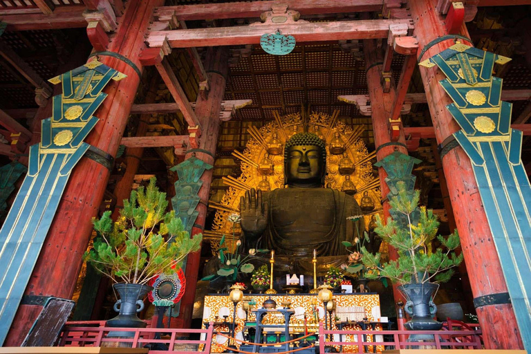 كيوتو/نارا: جولة عائلية ممتعة وثقافية بالسيارة مع خدمة التوصيل من الفندق