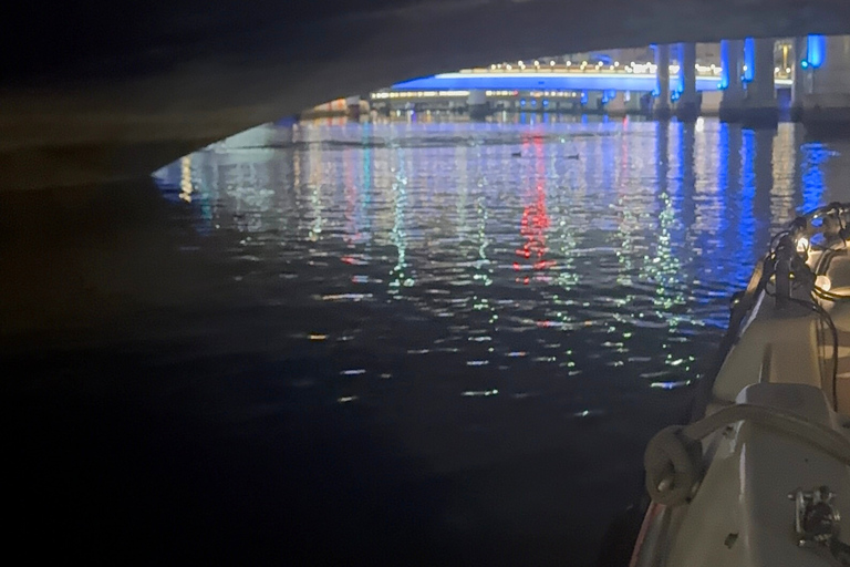 Osaka: Private Night Cruise Through the City of Water