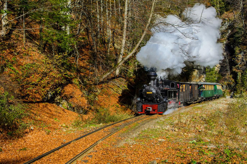 With the steam train through Transylvania- 8 Day