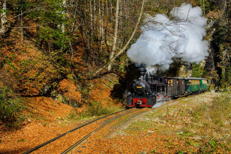 With the steam train through Transylvania- 8 Day