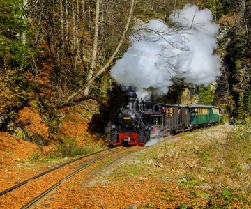 Con il treno a vapore attraverso la Transilvania - 8 giorni