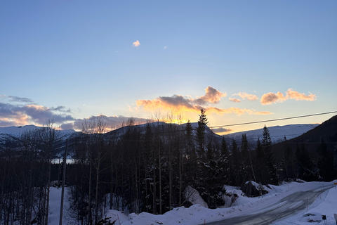 Narvik/Harstad : Excursion d&#039;une journée dans les Fjords avec arrêt à la ferme des rennes