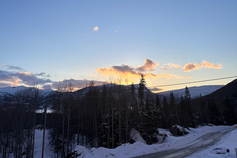 Narvik/Harstad : Excursion d&#039;une journée dans les Fjords avec arrêt à la ferme des rennes