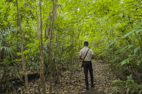 Zanzíbar: Visita guiada al Parque Nacional del Bosque de Jozani