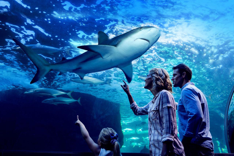 Cairns: Nachttour im Aquarium mit FührungCairns: Nacht im Aquarium Tour