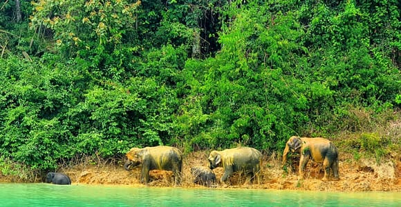 Phuket, Khao Lak, Krabi: 2-Day, 1-Night Stay at Cheow Lan Lake