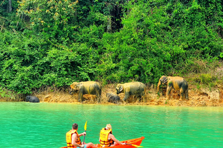 Multi-day Tours and Trips from Surat Thani