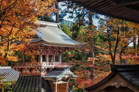 From Nagoya: Kegonji Temple, Yoro Park & Kiyosu Castle Tour