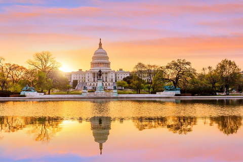 Best of Washington: Private Walking Tour with a Local Private City Walking Tour - 2Hr