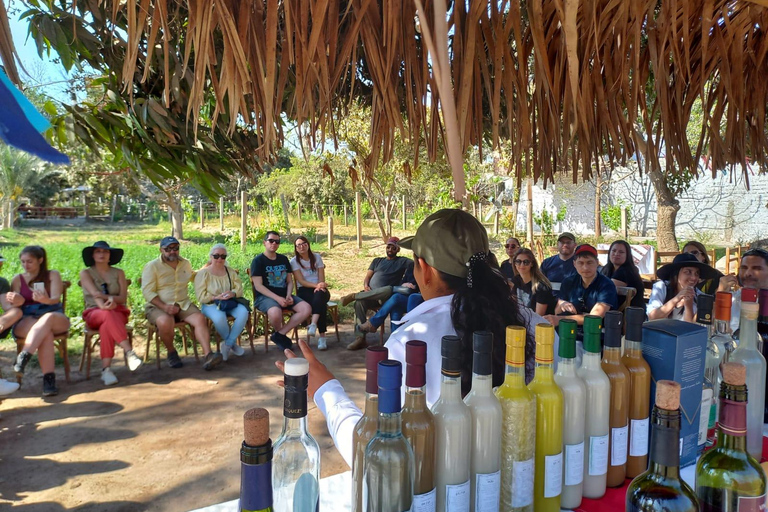 Paracas, Ica, and Premium Tasting at Hacienda Caravedo