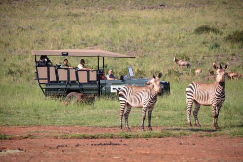 Johannesburg: Safari w rezerwacie przyrody nosorożców i lwów