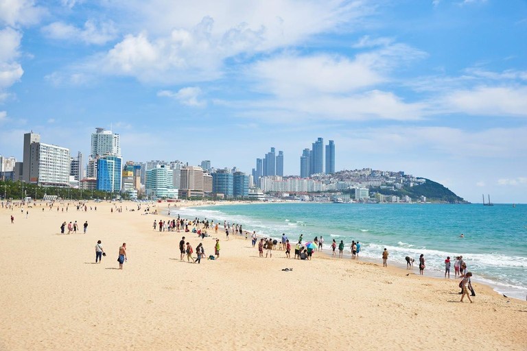 South Korea Highlights Tour: Seoul + Busan 2 Days Tour Plan South Korea Busan highlights Tour