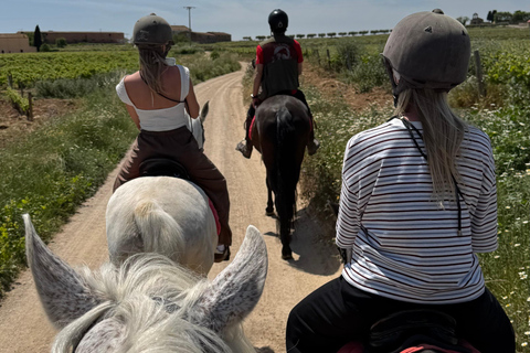 Ibiza : Expérience privée d'équitation dans la nature