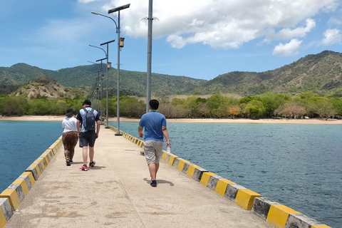 Bali : Excursion d&#039;une journée sur l&#039;île de Komodo avec vol depuis Bali