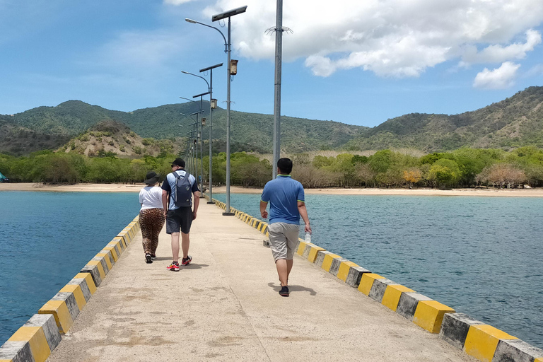 Bali: Komodo eiland dagtrip met vlucht vanuit Bali