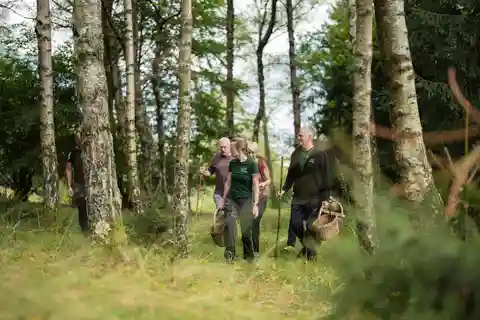 Bovec: Mushroom Picking and Culinary Session