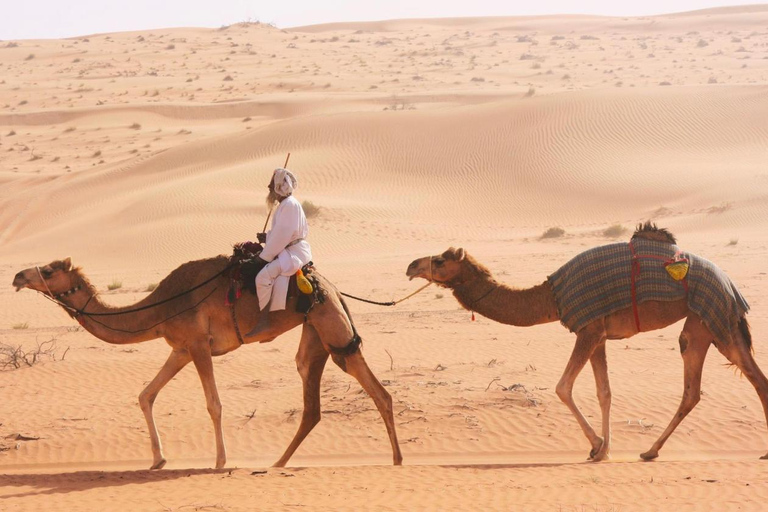 Safári de luxo com pernoite no deserto em Salalah