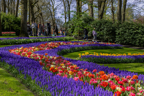 From Rotterdam and The Hague: Bus Tour with Keukenhof Ticket