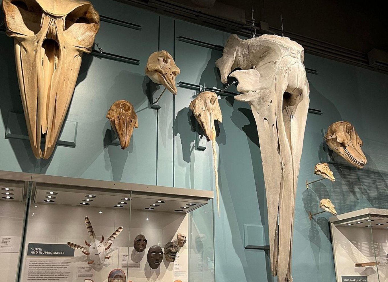 Fairbanks kulturarvstur