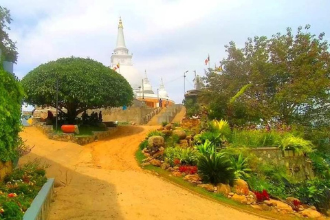 Depuis Ella : visite du temple et du monastère de Mahamevnawa