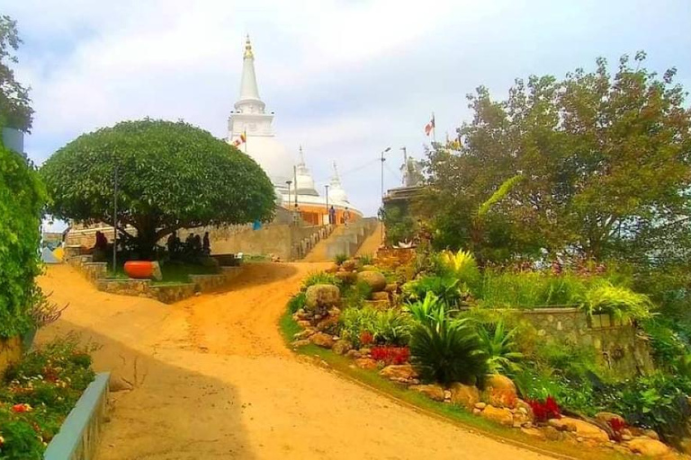 Depuis Ella : visite du temple et du monastère de Mahamevnawa