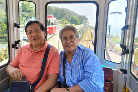 Busan Highlights Day Tour from Seoul by KTX - Capsule Ride