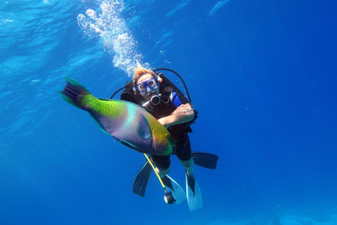 Sharm El Sheikh: Cruzeiro em Ras Mohamed com mergulho com snorkel e almoço