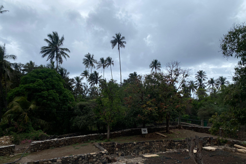 Recorre la Ciudad Vieja/Descubre la CIUDAD VIEJA