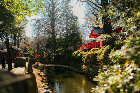 Old Tokyo: Yanaka & Nezu Shrine Guided Walking Tour
