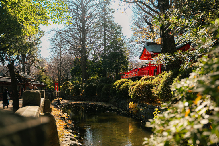 Old Tokyo: Yanaka & Nezu Shrine Guided Walking Tour